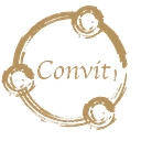 Convit International GmbH logo