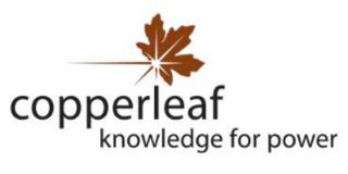 Copperleaf Technologies Inc. logo