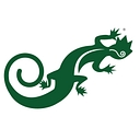 Copper Mountain Technologies logo