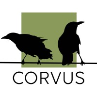 Corvus Consulting Inc. logo