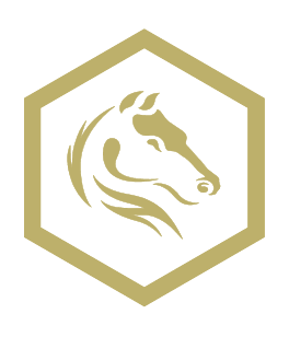 Darkhorse Emergency logo