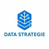 Data Strategie logo