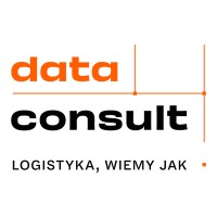 DataConsult S.A. logo