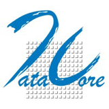Data-Core Systems Inc. logo