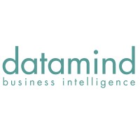 Datamind BI & AI logo