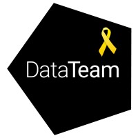 DataTeam logo