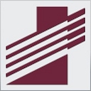 Dynamic Computing Services logo