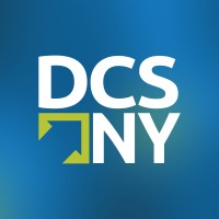 Delaney Computer Services, Inc. logo