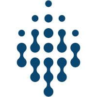 Deep Digital Solutions Group logo