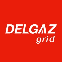 Delgaz Grid logo