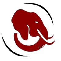 DELTA MARKETING logo