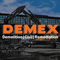 DEMEX logo