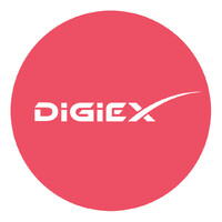 DigiEx Group logo
