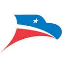 Diligent Delivery Systems logo