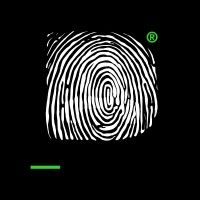 Division - Marketing Agency