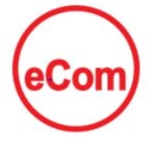 eComSystems logo