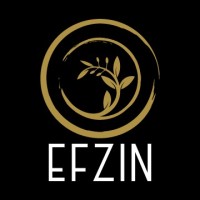 EF ZIN GROUP logo