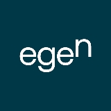 Egen Solutions Inc logo