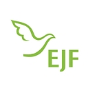 EJF gemeinnützige AG logo