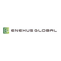Enexus Global Inc. logo