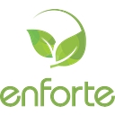 Enforte Co., Ltd. logo