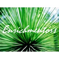Enrichmentors logo