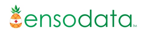 EnsoData logo