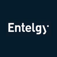Entelgy Brasil logo