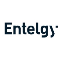 Entelgy logo
