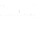 Peerless Technologies Corporation logo