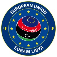 Delegation of the European Union to India logo