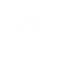 Exceptional Care Ltd logo