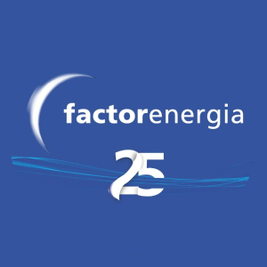 FACTOR ENERGIA logo