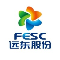 远东股份 Far East Smart Energy logo