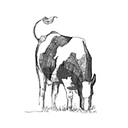Fen Farm Dairy Ltd logo
