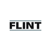 FLINT logo