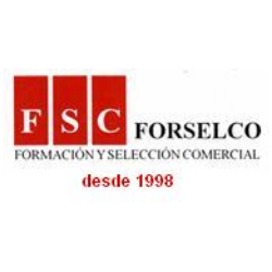 FORSELCO GRUPO EMPRESARIAL SL. logo