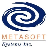 Metasoft Systems Inc logo