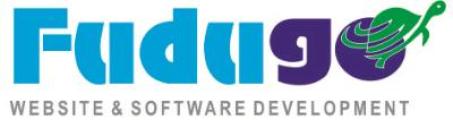 FuduGo Solutions logo