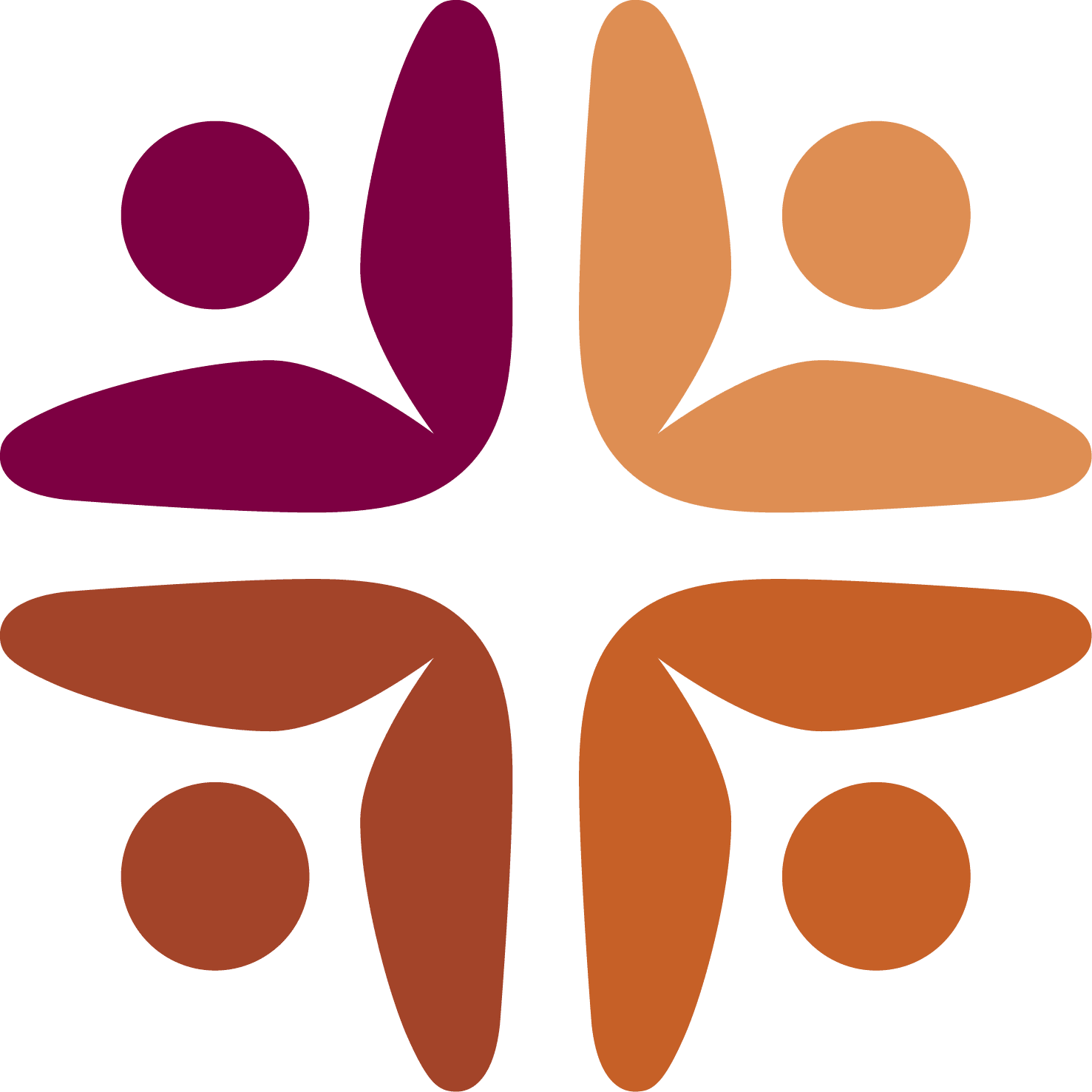 FUNDACION SUMMA HUMANITATE logo
