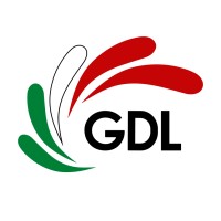 GDL CONNECT logo