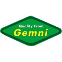 Gemni logo