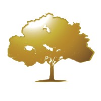 Logo The Golden Tree InterNational Inc.