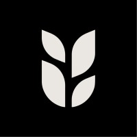 Grain logo