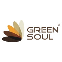 Green Soul Ergonomics logo