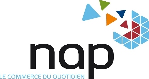Groupe NAP logo