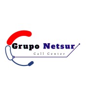 Grupo NetSur logo