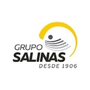 Grupo Salinas S.A. de C.V. logo