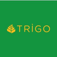 Grupo Trigo logo