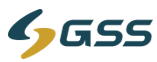 Global Software Solutions Group logo